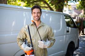 Best Termite Inspection and Treatment  in Ben Bolt, TX